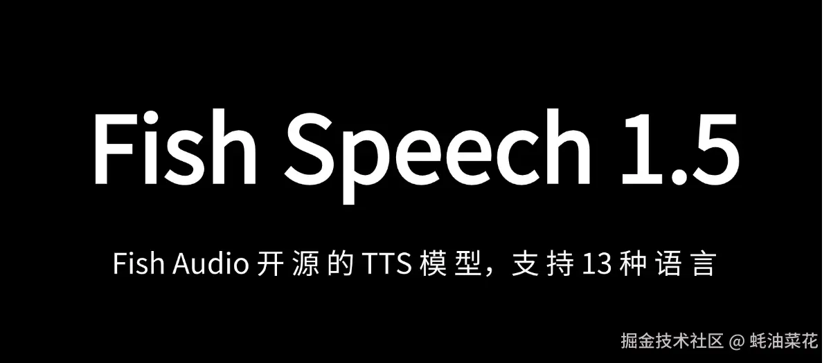 公众号: 蚝油菜花 - fish-speech